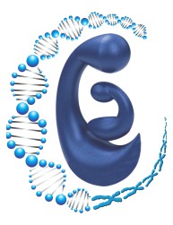 GENETICA Y ESTUDIOS CROMOSOMICOS Y MOLECULARES S.C.